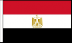 Egypt Hand Waving Flags